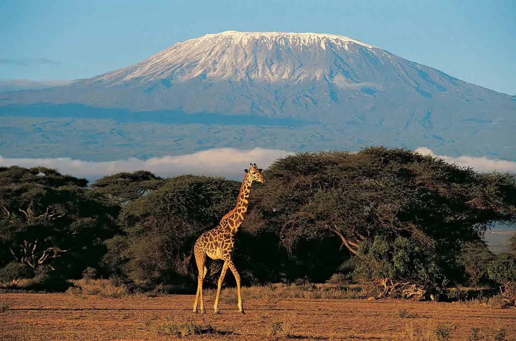 Kilimanjaro National Park