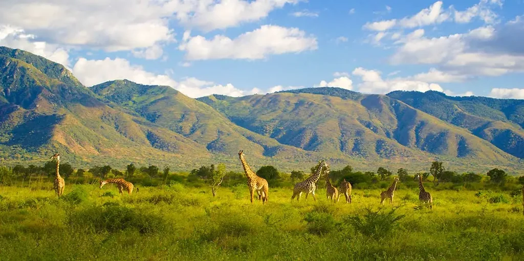 Mkomazi National Park