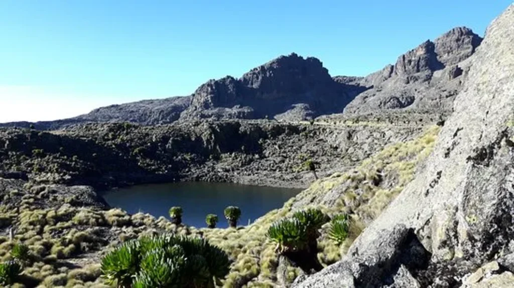 Mount Kenya National Park