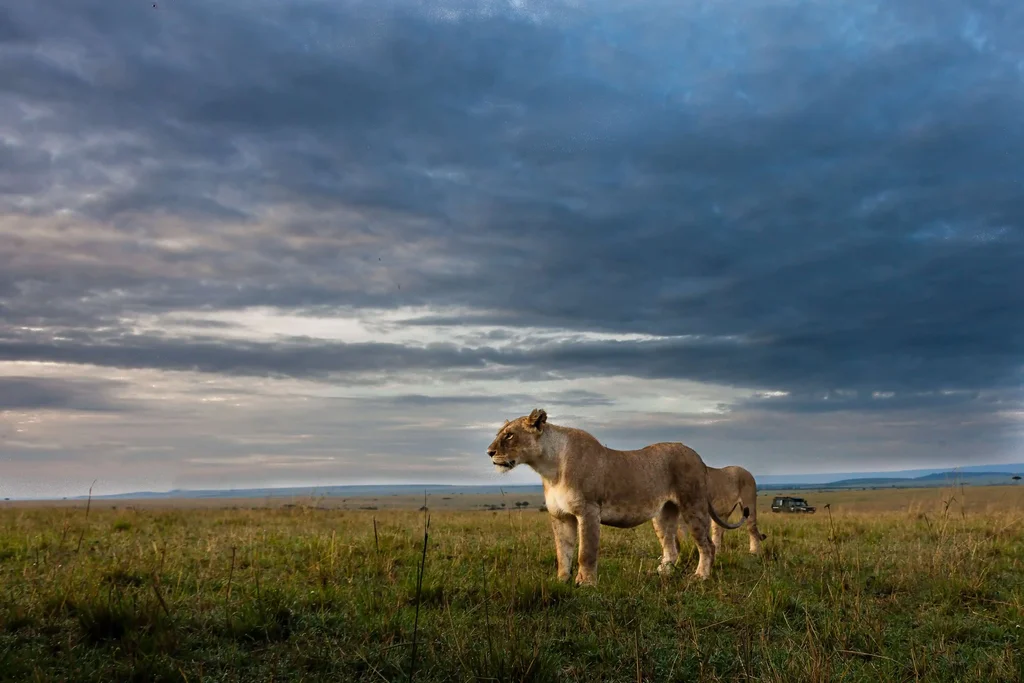 Ruaha National Park